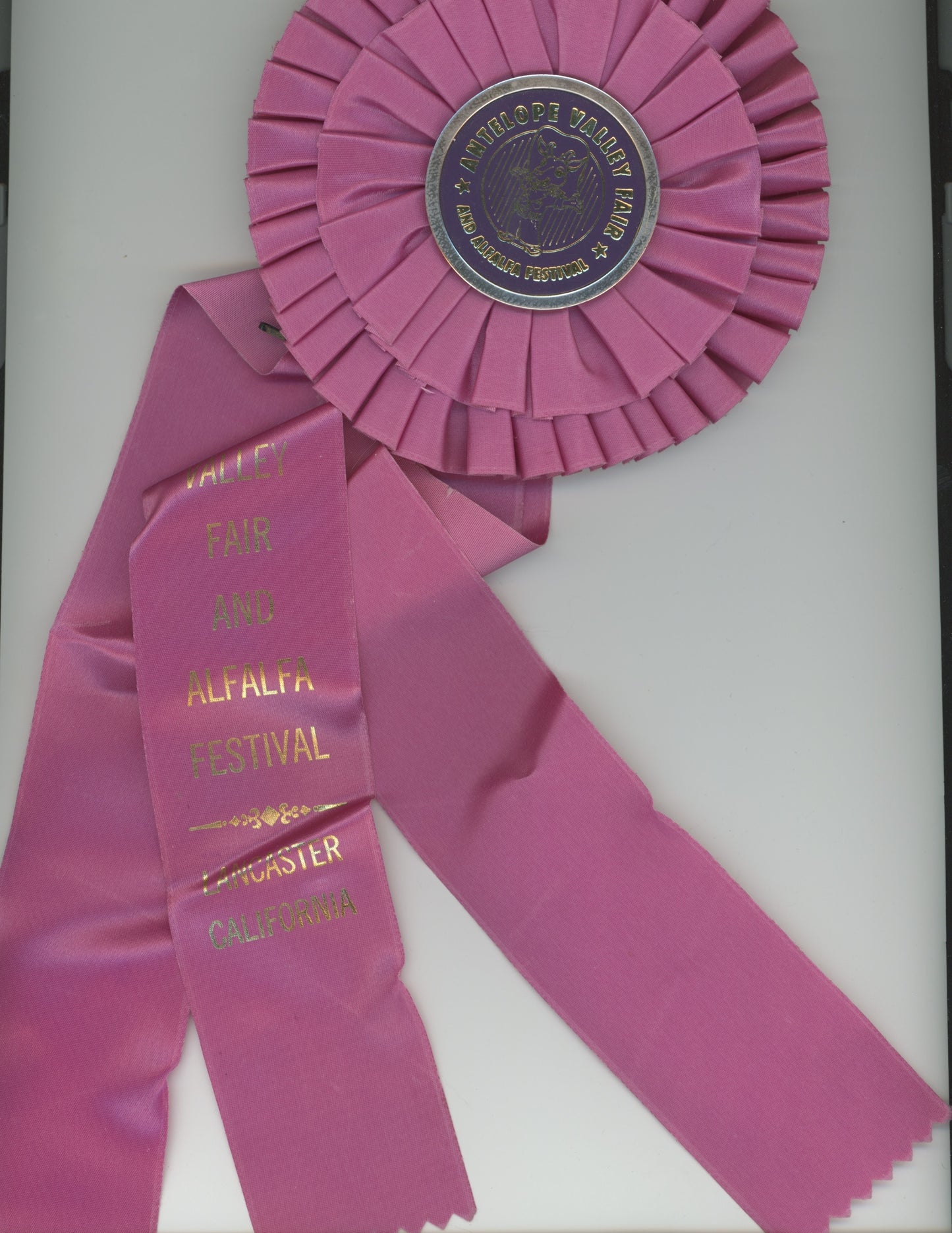 "Awards"