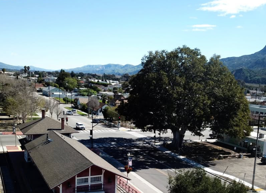 "Santa Paula Society of the Arts"